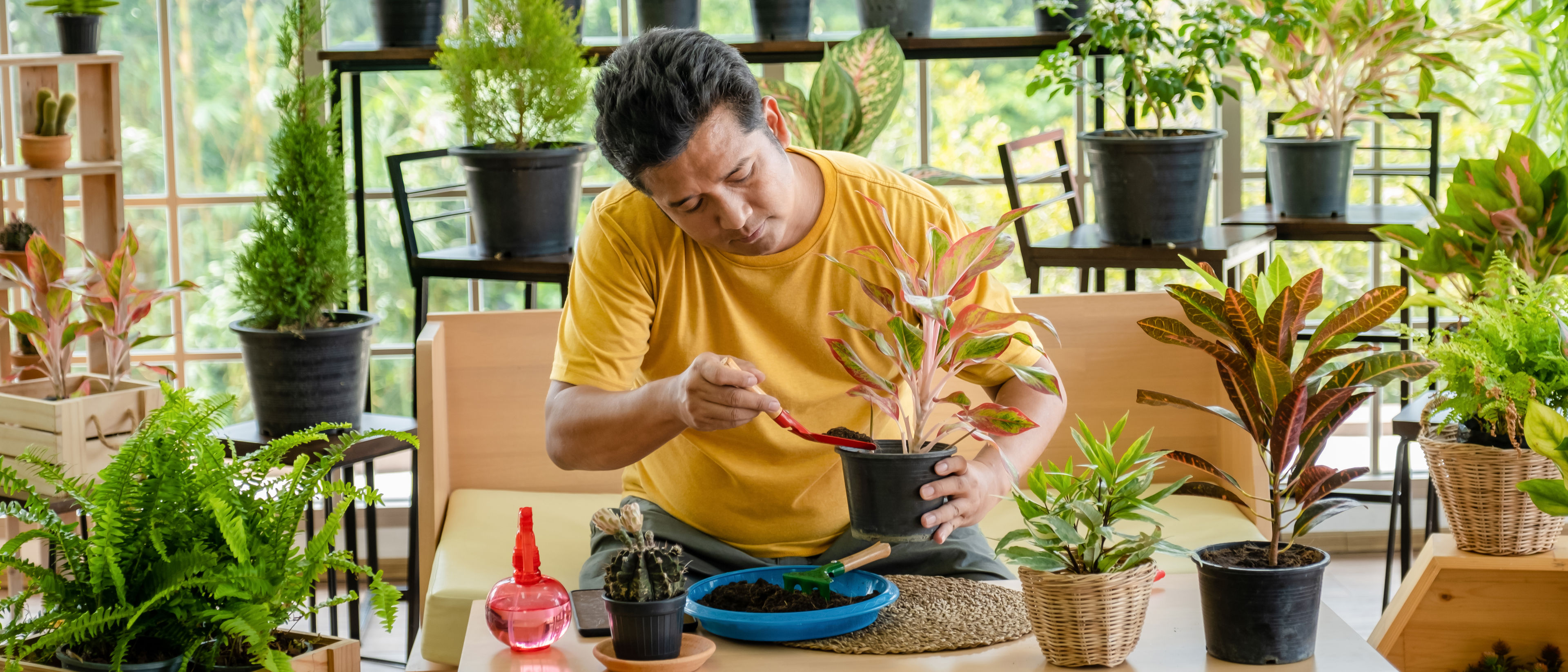 A man taking care of indoor plants